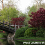 Japanese Garden