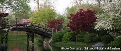 Japanese Garden